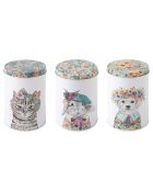 3 boîtes de rangement Mikasa Tipperleyhill blanches - 1L