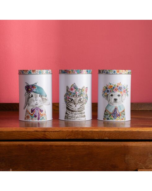 3 boîtes de rangement Mikasa Tipperleyhill blanches - 1L