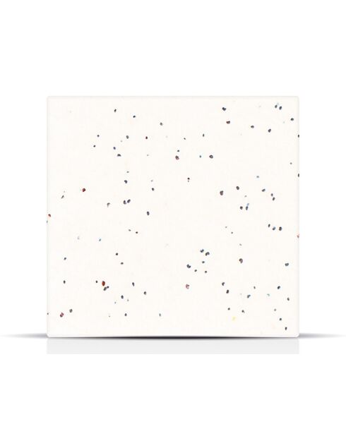 Pain nettoyant visage superaliment cacao et noix de coco - 100 g