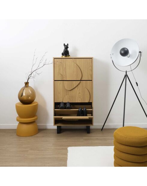 Meuble à chaussures Calypso marron/noir - 60x24x115 cm