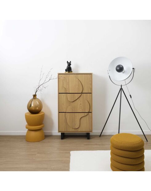 Meuble à chaussures Calypso marron/noir - 60x24x115 cm