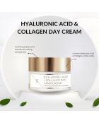 Dagcrème met hyaluronzuur en collageen - 50 ml