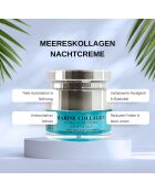 Meereskollagen-Nachtcreme, 50 ml
