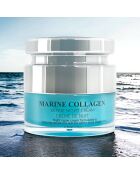 Meereskollagen-Nachtcreme, 50 ml