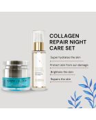 Hyaluronsäure- und Kollagen-Serum + Marine Collagen Night Repair Cream - 2 Stück