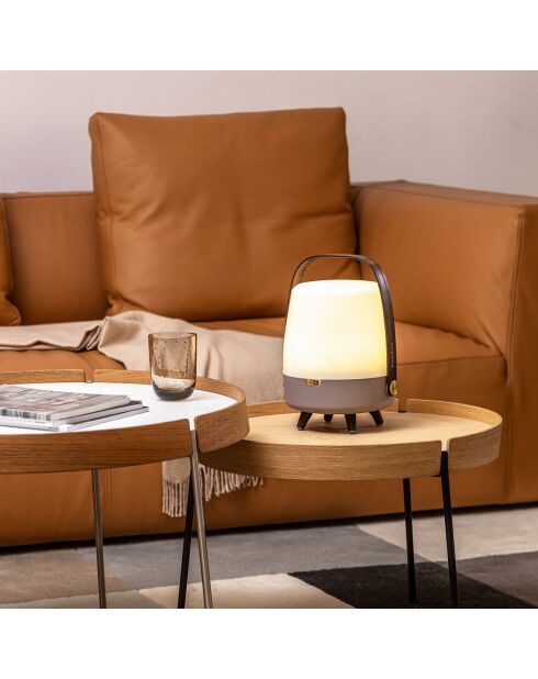 Lite-up Play Mini JBL terre - 29x21 cm