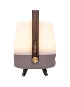 Lite-up Play Mini JBL terre - 29x21 cm