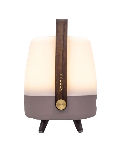 Lite-up Play Mini JBL terre - 29x21 cm