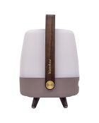 Lite-up Play Mini JBL terre - 29x21 cm