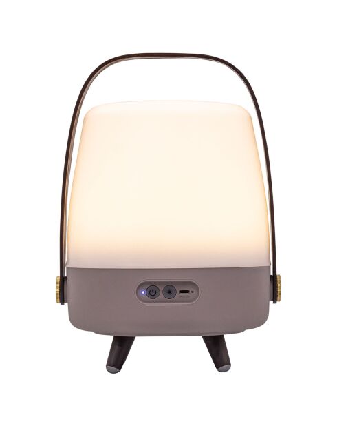 Lite-up Play Mini JBL terre - 29x21 cm