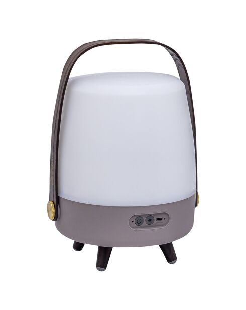 Lite-up Play Mini JBL terre - 29x21 cm