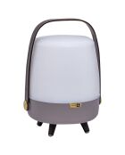 Lite-up Play Mini JBL terre - 29x21 cm
