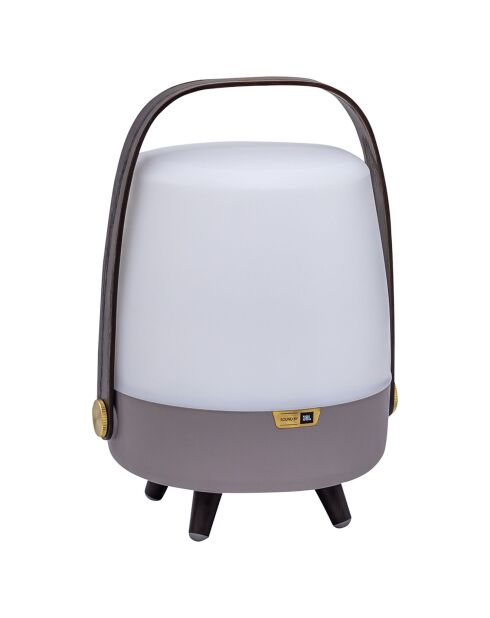 Lite-up Play Mini JBL terre - 29x21 cm