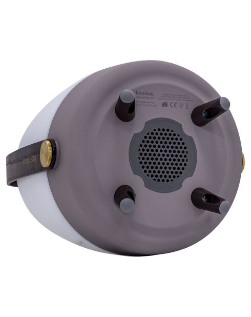 Lite-up Play Mini JBL terre - 29x21 cm