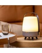 Lite-up Play Mini JBL terre - 29x21 cm