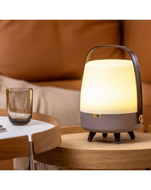 Lite-up Play Mini JBL terre - 29x21 cm