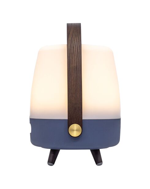 Lite-up Play Mini JBL océan - 29x21 cm