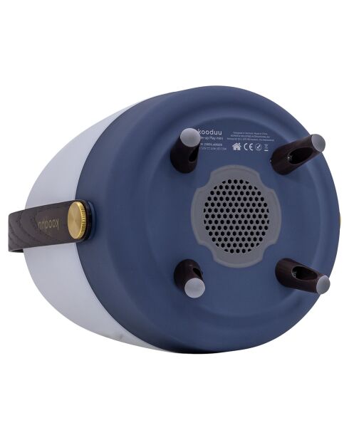 Lite-up Play Mini JBL océan - 29x21 cm