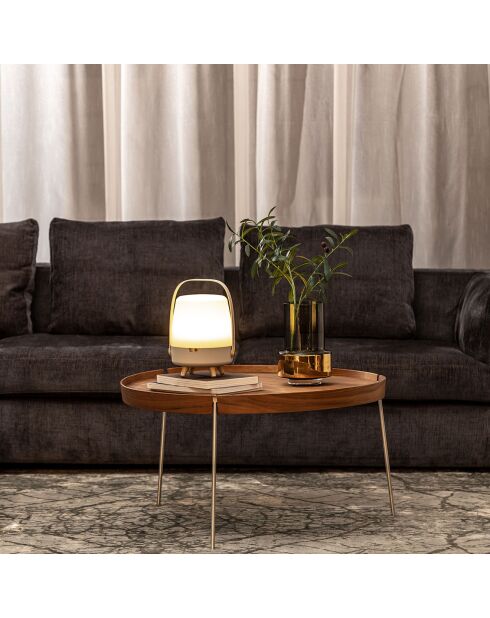 Lite-up Play Mini JBL sable - 29x21 cm