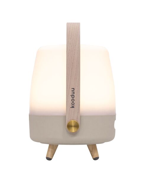 Lite-up Play Mini JBL sable - 29x21 cm