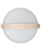 Lite-up Play JBL sable - 29x21 cm