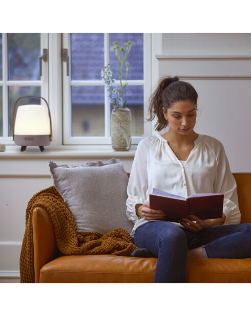 Lite-up Play JBL terre - 29x21 cm