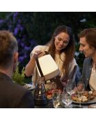 Lite-up Play JBL terre - 29x21 cm