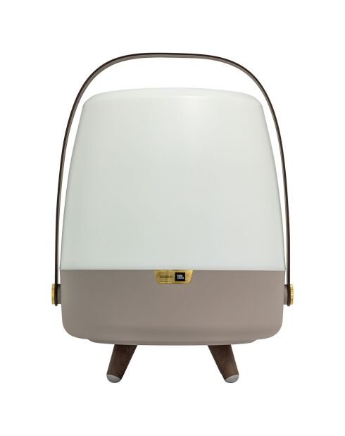 Lite-up Play JBL terre - 29x21 cm