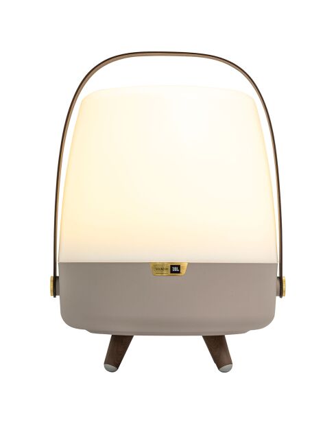 Lite-up Play JBL terre - 29x21 cm