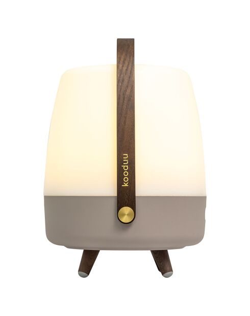 Lite-up Play JBL terre - 29x21 cm