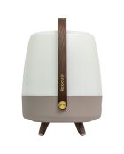 Lite-up Play JBL terre - 29x21 cm