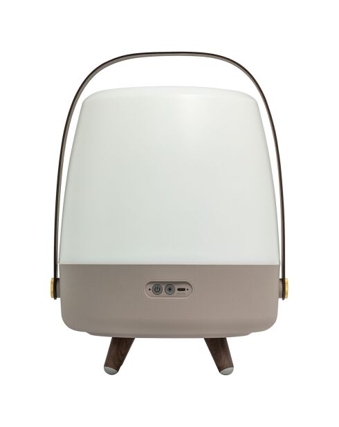 Lite-up Play JBL terre - 29x21 cm