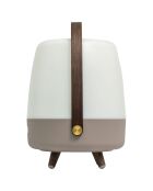 Lite-up Play JBL terre - 29x21 cm