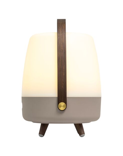 Lite-up Play JBL terre - 29x21 cm