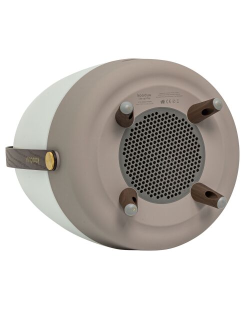 Lite-up Play JBL terre - 29x21 cm