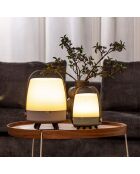 Lite-up Play JBL terre - 29x21 cm