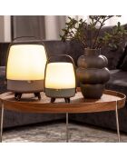 Lite-up Play JBL terre - 29x21 cm