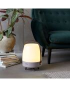 Lite-up Play JBL terre - 29x21 cm
