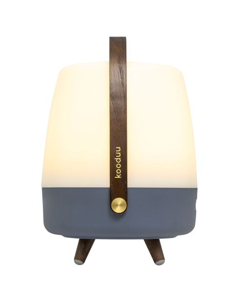 Lite-up Play JBL océan - 29x21 cm