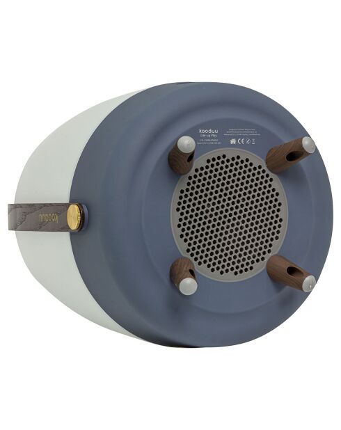 Lite-up Play JBL océan - 29x21 cm