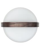 Lite-up Play JBL océan - 29x21 cm