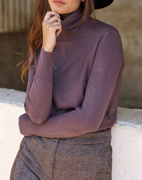 Pull Falba raisin