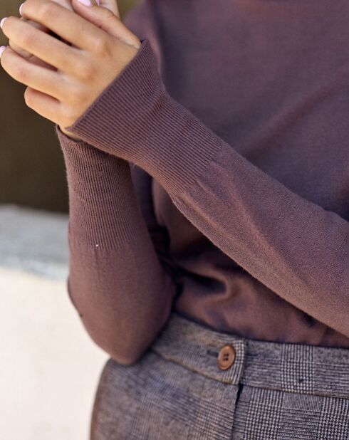 Pull Falba raisin