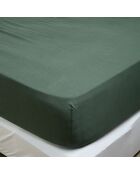 Drap housse Dili en double voile de coton pigeon