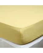 Drap housse Dili en double voile de coton paille