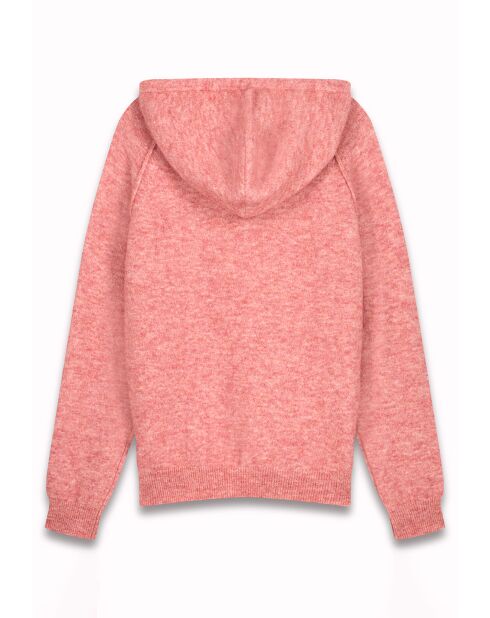 Pull à Capuche en Alpaga & Laine mélangés Macle blush d'hiver
