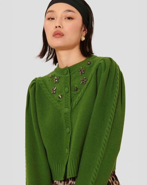 Cardigan 100% Laine Gustave cactus