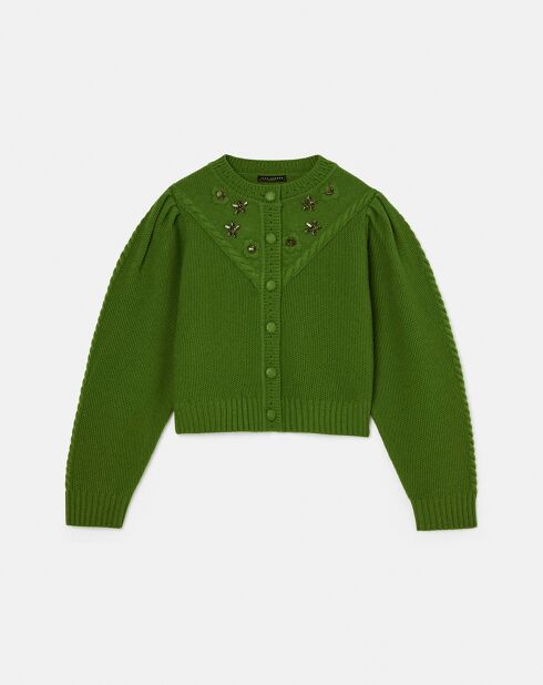 Cardigan 100% Laine Gustave cactus