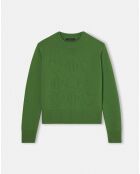 Pull 100% Laine Preppy cactus