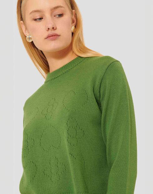 Pull 100% Laine Preppy cactus